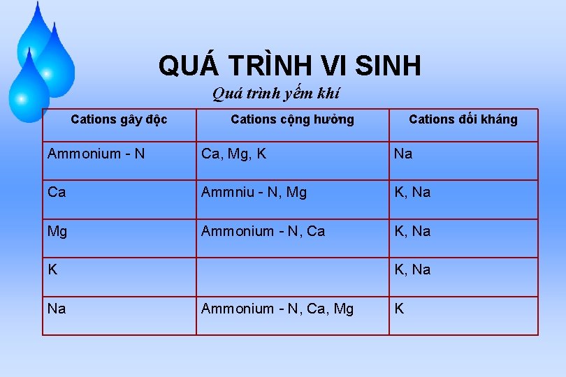 QUÁ TRÌNH VI SINH Quá trình yếm khí Cations gây độc Cations cộng hưởng