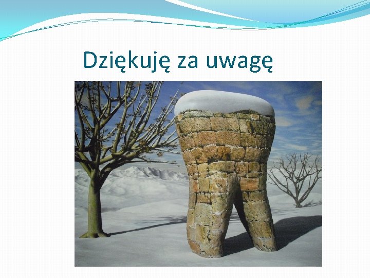  Dziękuję za uwagę 