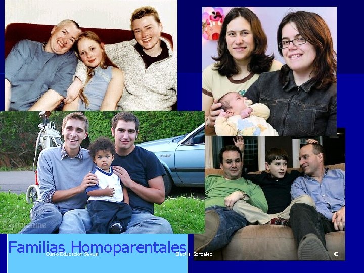 Familias Homoparentales Curso Educacion Sexual Electra Gonzalez 43 
