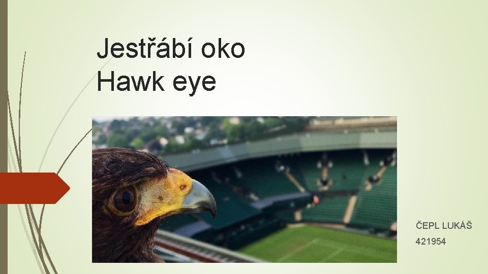 Jestřábí oko Hawk eye ČEPL LUKÁŠ 421954 