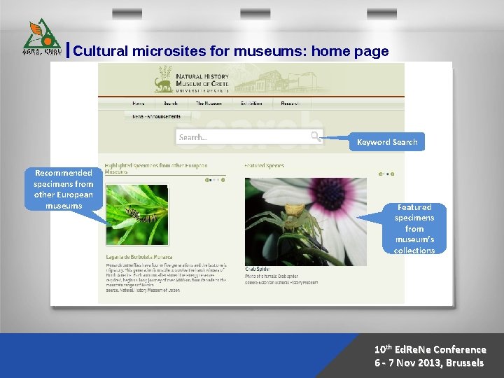 Cultural microsites for museums: home page Keyword Search Recommended specimens from other European museums