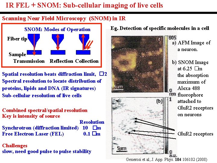 IR FEL + SNOM: Sub-cellular imaging of live cells Scanning Near Field Microscopy (SNOM) IR FEL + SNOM: Sub-cellular imaging of live cells Scanning Near Field Microscopy (SNOM)