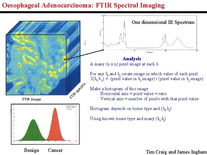 Oesophageal Adenocarcinoma: FTIR Spectral Imaging One dimensional IR Spectrum Analysis A many (n x Oesophageal Adenocarcinoma: FTIR Spectral Imaging One dimensional IR Spectrum Analysis A many (n x