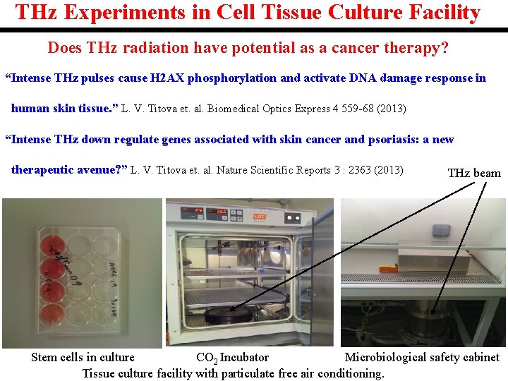 THz Experiments in Cell Tissue Culture Facility Does THz radiation have potential as a THz Experiments in Cell Tissue Culture Facility Does THz radiation have potential as a