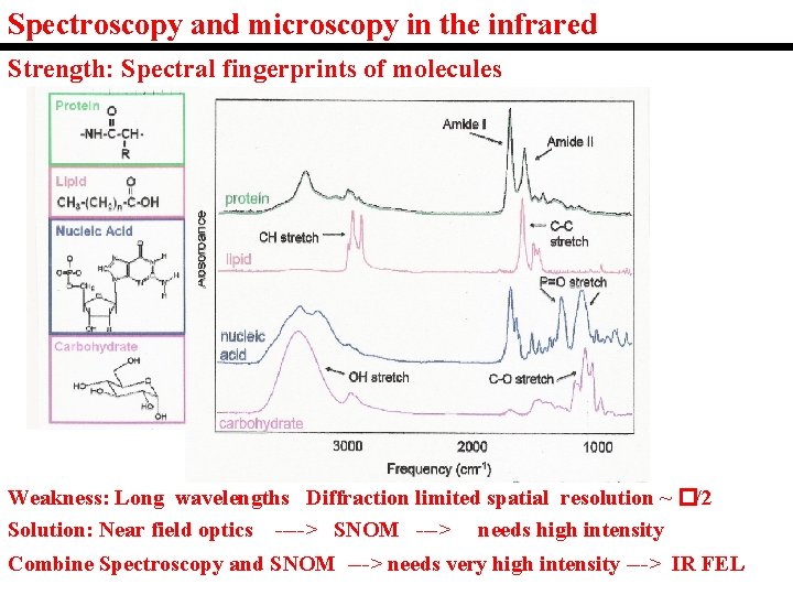 Spectroscopy and microscopy in the infrared Strength: Spectral fingerprints of molecules Weakness: Long wavelengths Spectroscopy and microscopy in the infrared Strength: Spectral fingerprints of molecules Weakness: Long wavelengths