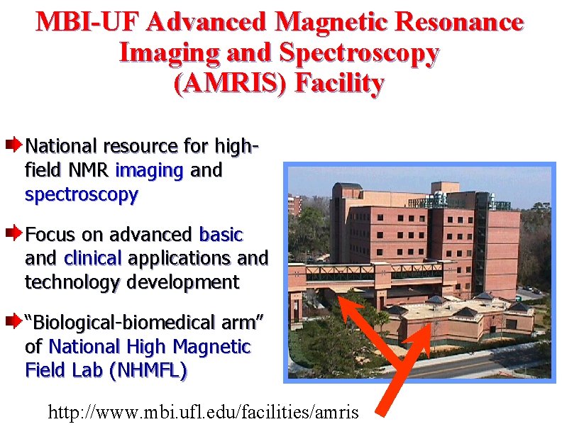 MBI-UF Advanced Magnetic Resonance Imaging and Spectroscopy (AMRIS) Facility National resource for highfield NMR