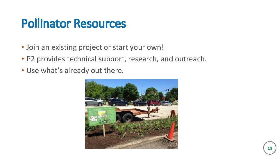 Pollinator Resources • Join an existing project or start your own! • P 2