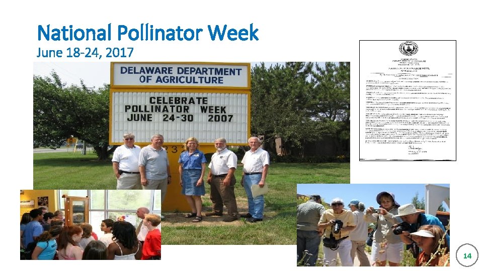 National Pollinator Week June 18 -24, 2017 14 