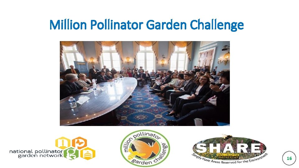 Million Pollinator Garden Challenge 16 