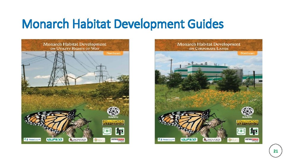 Monarch Habitat Development Guides 21 