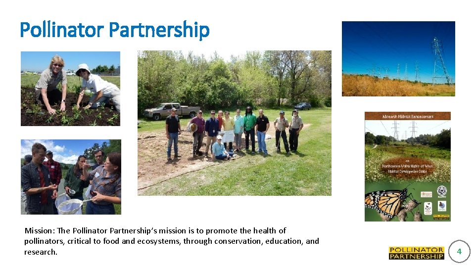 Pollinator Partnership April 2011 June 2011 August 2011 September 2012 October 2011 Mission: The