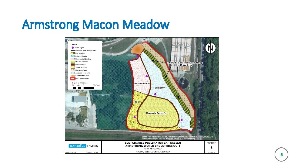 Armstrong Macon Meadow 6 