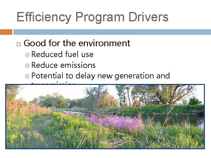 Efficiency Program Drivers Good for the environment Reduced fuel use Reduce emissions Potential to