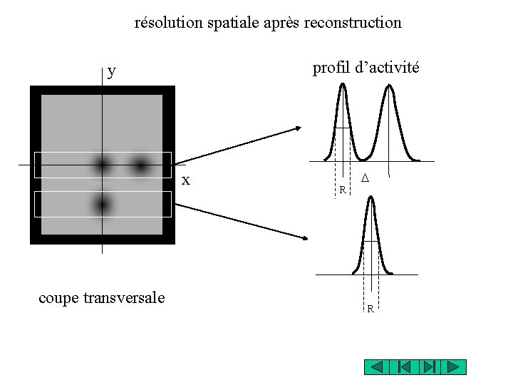 résolution spatiale après reconstruction profil d’activité y x coupe transversale R D R résolution spatiale après reconstruction profil d’activité y x coupe transversale R D R
