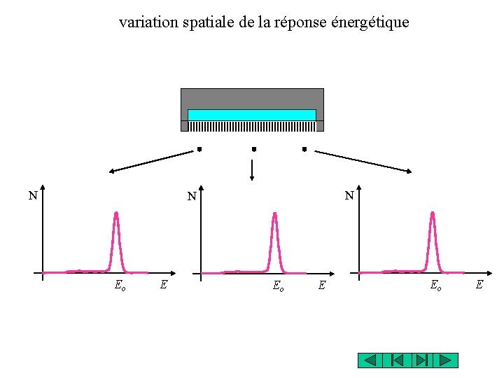 variation spatiale de la réponse énergétique N N N Eo E variation spatiale de la réponse énergétique N N N Eo E