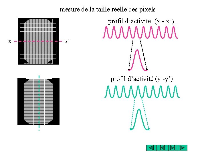mesure de la taille réelle des pixels profil d’activité (x - x’) x x’ mesure de la taille réelle des pixels profil d’activité (x - x’) x x’