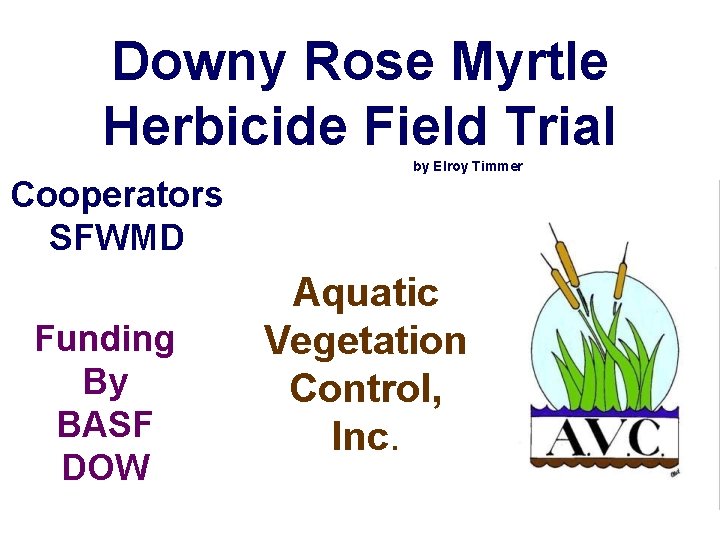 Downy Rose Myrtle Herbicide Field Trial by Elroy Timmer Cooperators SFWMD Funding By BASF
