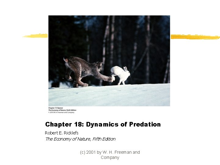 Chapter 18: Dynamics of Predation Robert E. Ricklefs The Economy of Nature, Fifth Edition