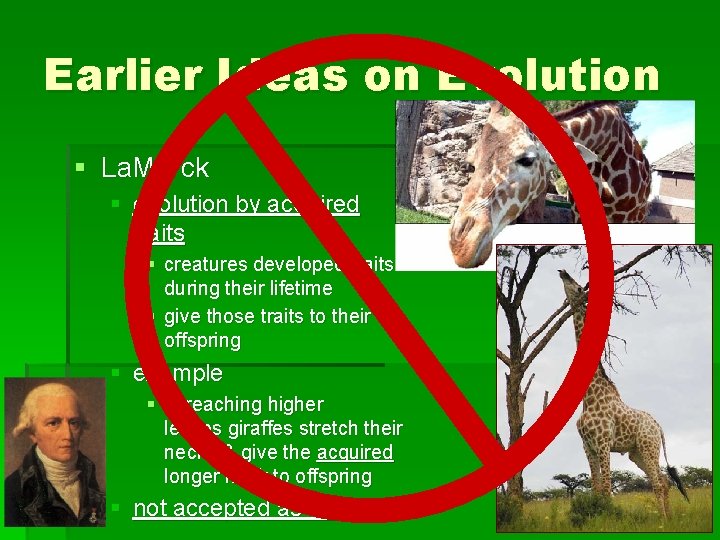 Earlier Ideas on Evolution § La. Marck § evolution by acquired traits § creatures