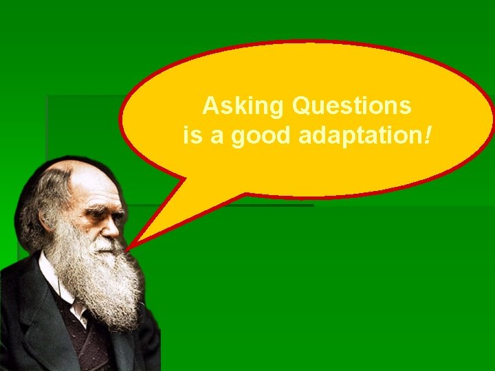 Asking Questions is a good adaptation! 