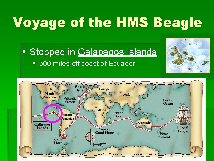 Voyage of the HMS Beagle § Stopped in Galapagos Islands § 500 miles off