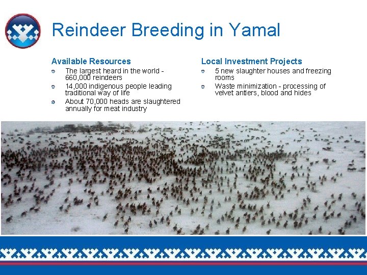 Reindeer Breeding in Yamal Available Resources The largest heard in the world - 660,