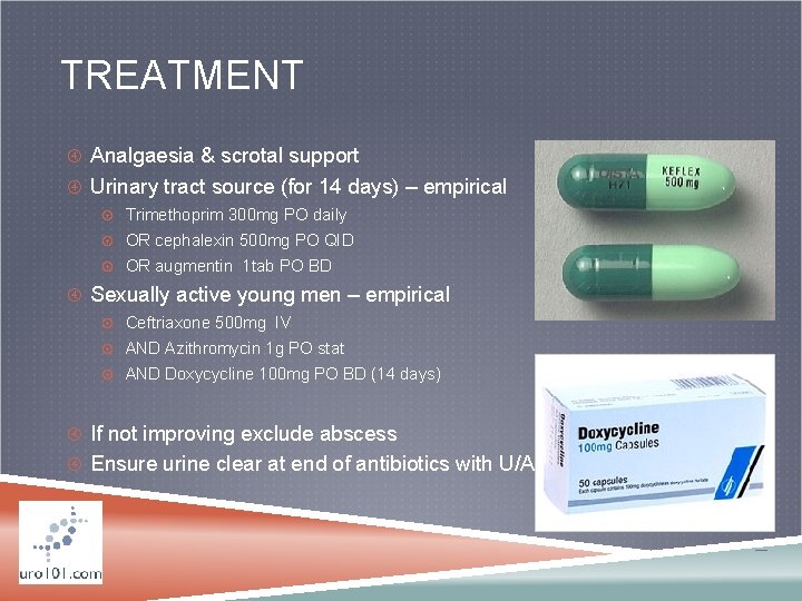 TREATMENT Analgaesia & scrotal support Urinary tract source (for 14 days) – empirical Trimethoprim