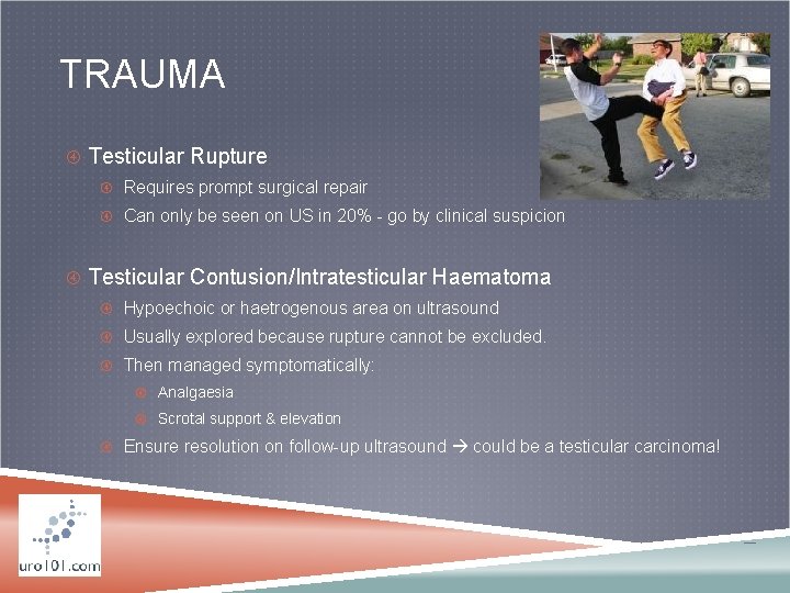 TRAUMA Testicular Rupture Requires prompt surgical repair Can only be seen on US in