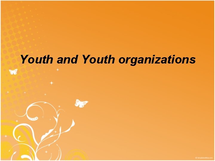 Youth and Youth organizations 