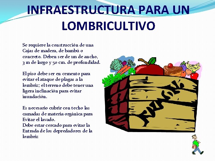 INFRAESTRUCTURA PARA UN LOMBRICULTIVO Se requiere la construcción de una Cajas de madera, de