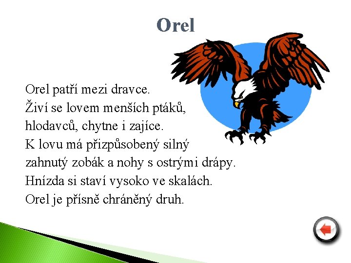 Orel patří mezi dravce. Živí se lovem menších ptáků, hlodavců, chytne i zajíce. K