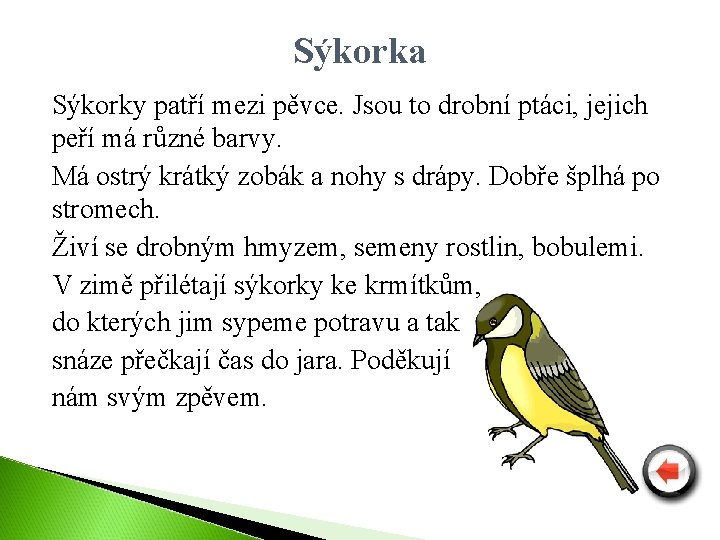 Sýkorka Sýkorky patří mezi pěvce. Jsou to drobní ptáci, jejich peří má různé barvy.