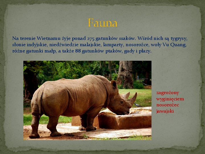 Fauna Na terenie Wietnamu żyje ponad 275 gatunków ssaków. Wśród nich są tygrysy, słonie