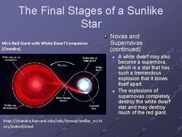 The Final Stages of a Sunlike Star Mira Red Giant with White Dwarf Companion