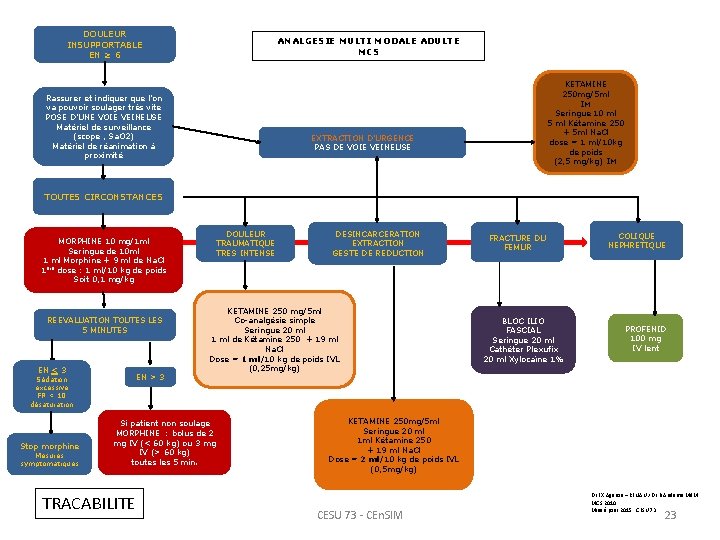 DOULEUR INSUPPORTABLE EN ≥ 6 ANALGESIE MULTI MODALE ADULTE MCS Rassurer et indiquer que