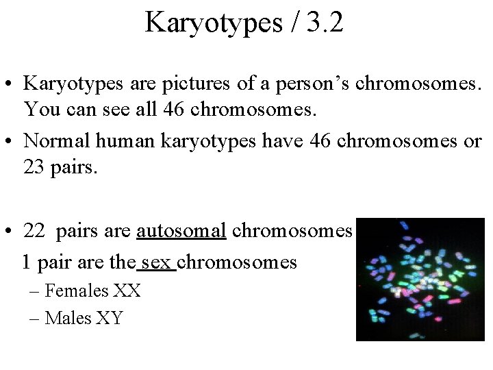 Karyotypes / 3. 2 • Karyotypes are pictures of a person’s chromosomes. You can