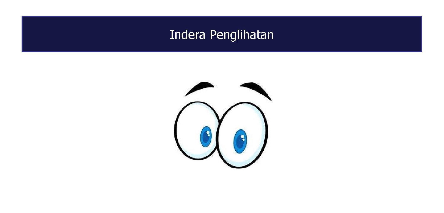 Indera Penglihatan 