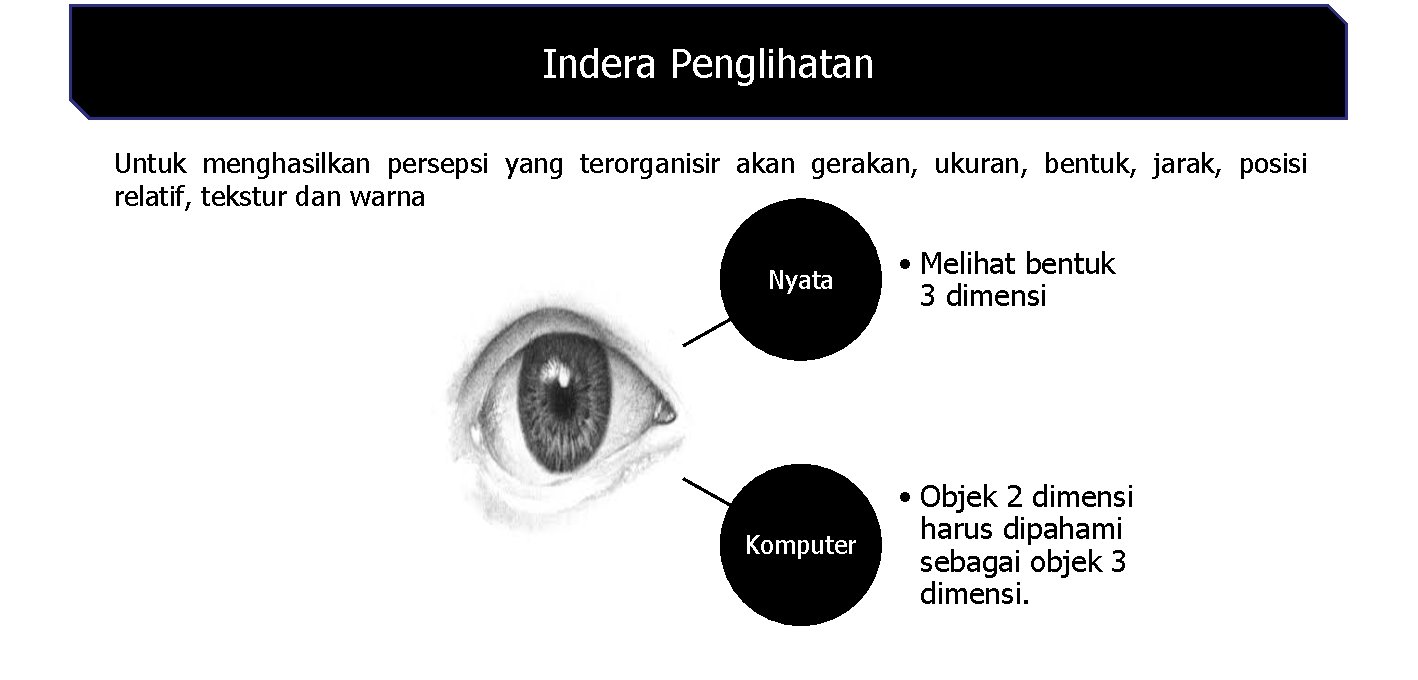 Indera Penglihatan Untuk menghasilkan persepsi yang terorganisir akan gerakan, ukuran, bentuk, jarak, posisi relatif,