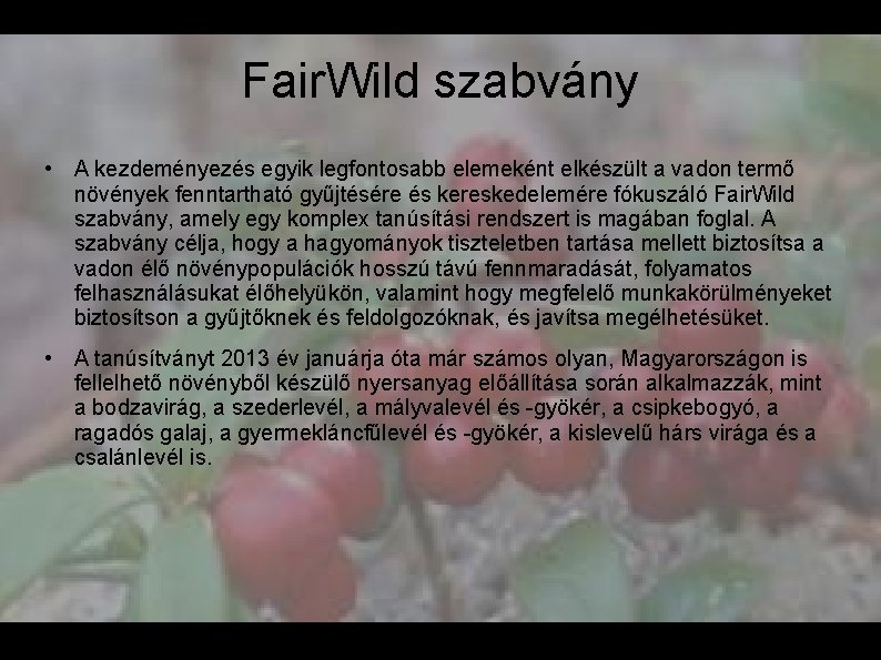 Fair. Wild szabvány • A kezdeményezés egyik legfontosabb elemeként elkészült a vadon termő növények