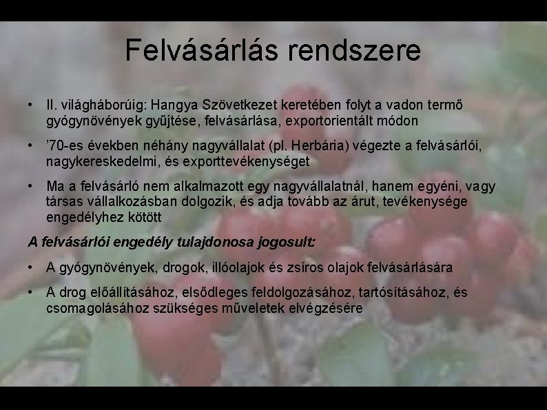 Felvásárlás rendszere • II. világháborúig: Hangya Szövetkezet keretében folyt a vadon termő gyógynövények gyűjtése,