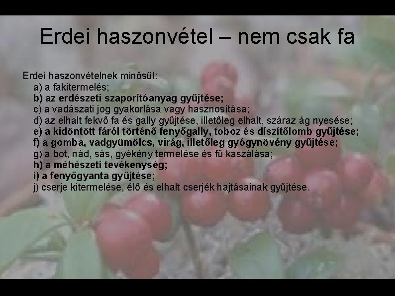 Erdei haszonvétel – nem csak fa Erdei haszonvételnek minősül: a) a fakitermelés; b) az