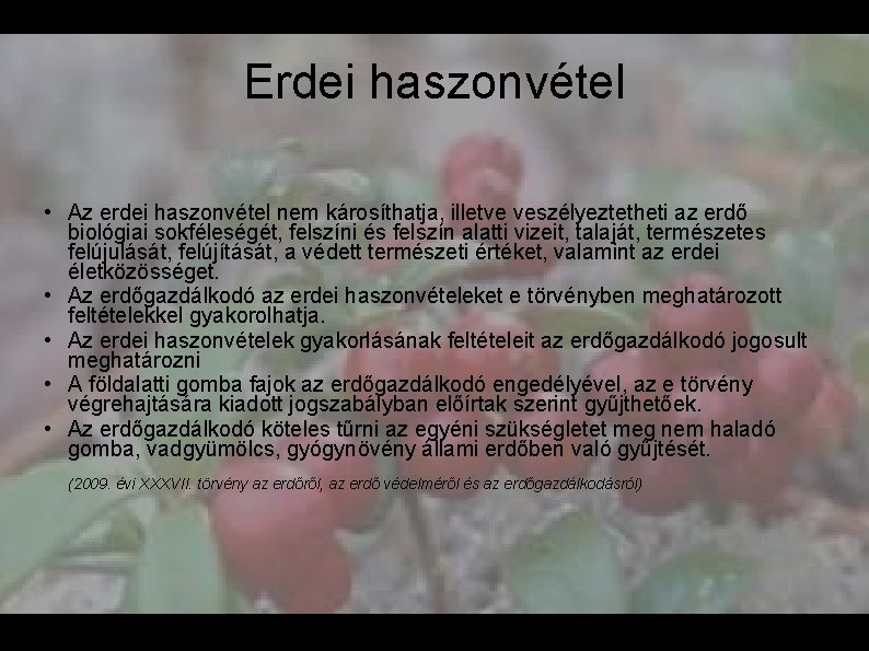 Erdei haszonvétel • Az erdei haszonvétel nem károsíthatja, illetve veszélyeztetheti az erdő biológiai sokféleségét,