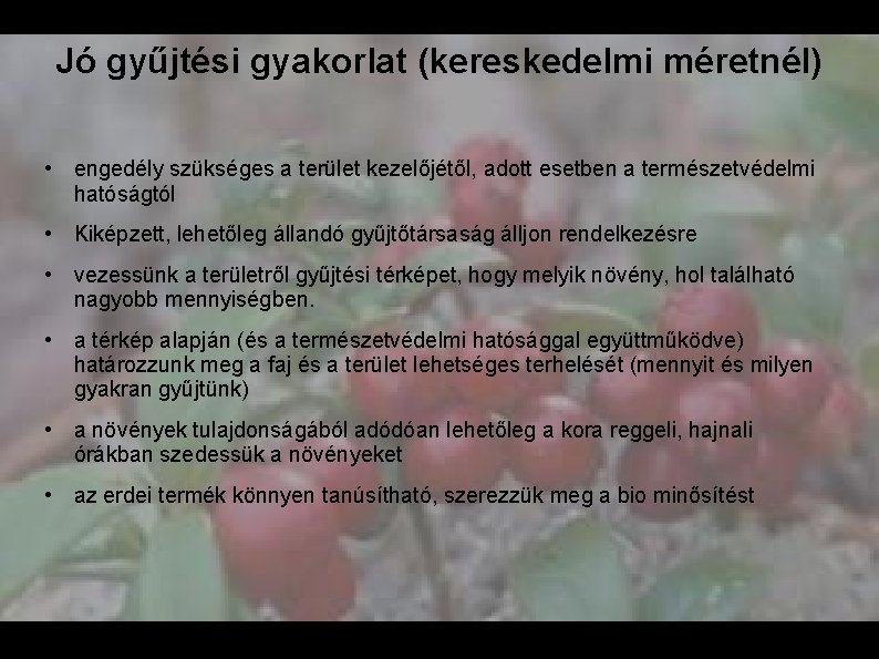 Jó gyűjtési gyakorlat (kereskedelmi méretnél) • engedély szükséges a terület kezelőjétől, adott esetben a