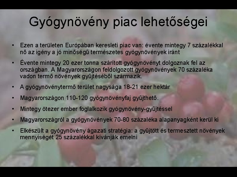 Gyógynövény piac lehetőségei • Ezen a területen Európában keresleti piac van: évente mintegy 7