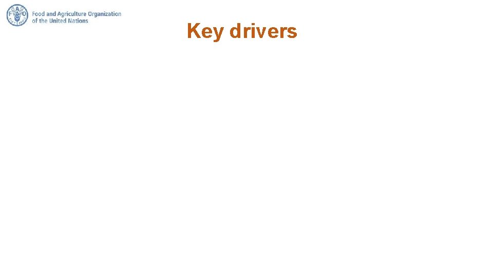Key drivers 