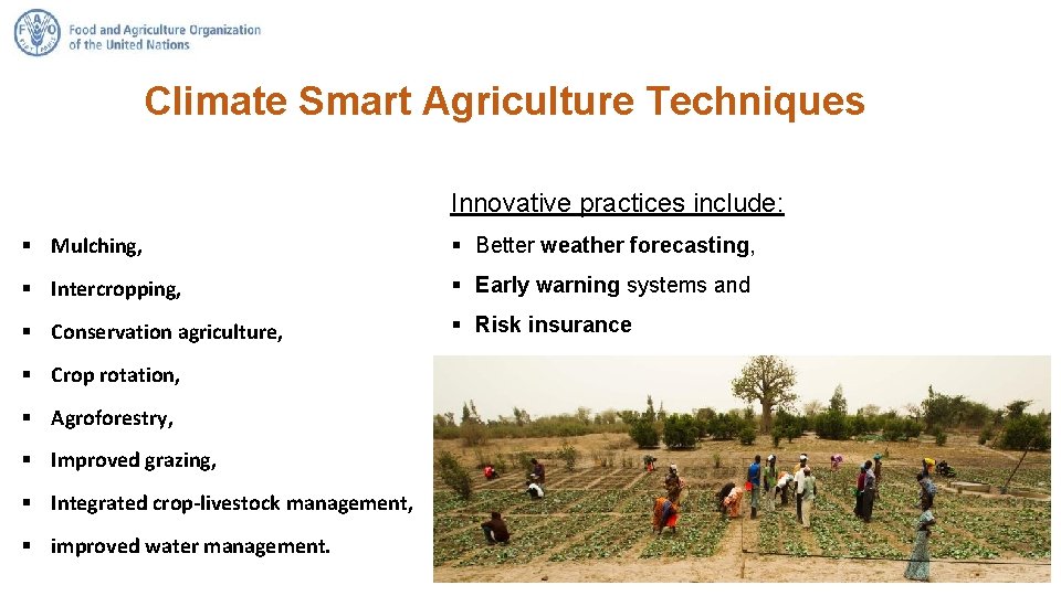 Climate Smart Agriculture Techniques Innovative practices include: § Mulching, § Better weather forecasting, §