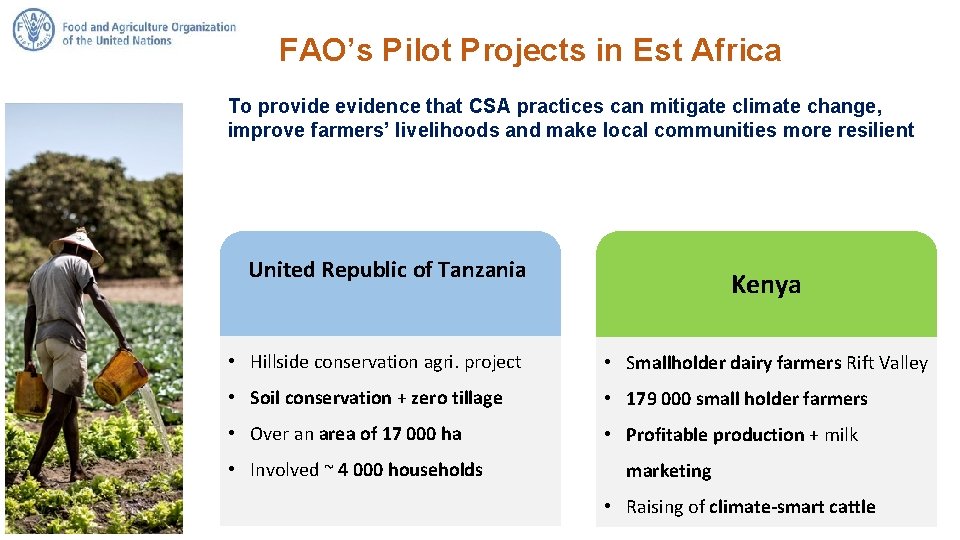 FAO’s Pilot Projects in Est Africa To provide evidence that CSA practices can mitigate