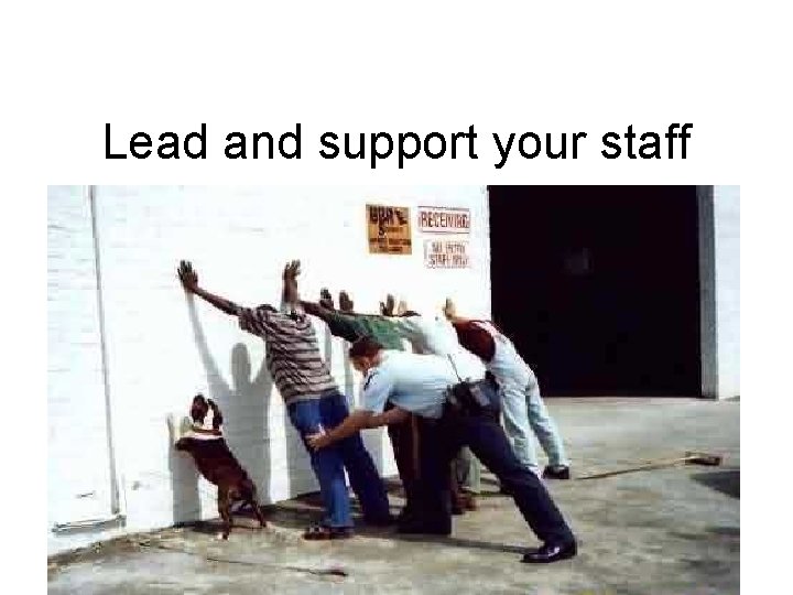 Lead and support your staff 