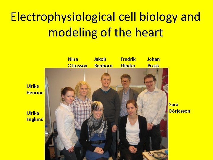 Electrophysiological cell biology and modeling of the heart Nina Ottosson Jakob Renhorn Fredrik Elinder