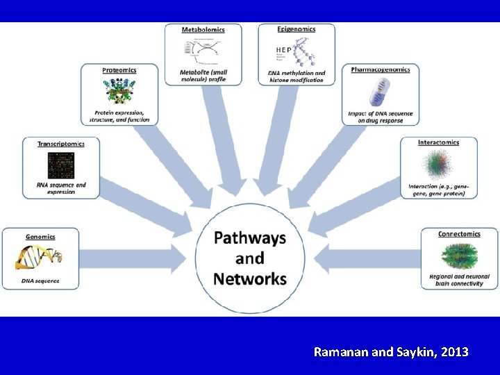 Ramanan and Saykin, 2013 